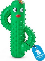 Potaroma Cactus Durable Teeth Cleaning Squeaky Exercise Dog Chew Toy, Green