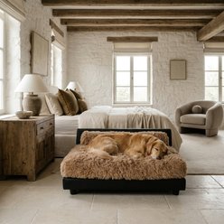 Club Nine Pets Roma Elevated Orthopedic Dog Bed, Fawn, Medium