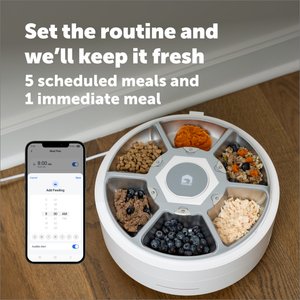 PetSafe FreshFeed Refrigerated Dog & Cat Feeder, White