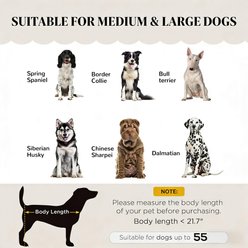 Bencmate Luxury Sofa Pearl Couch Stylish Modern Furniture Novelty Elevated Dog Bed, Medium, Green slide 2 of 7