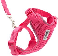 RC Pets Adventure Kitty Reflective Cat Harness & Leash, Azalea, Small: 11 to 15-in chest