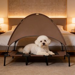 Bencmate Removable Canopy, Portable, Foldable Cot Cooling Elevated Dog Bed, Brown, Medium