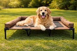 HOMAGICO Breathable Mesh Cooling Orthopedic Elevated Dog Bed with Bolster, Brown, X-Large slide 1 of 6