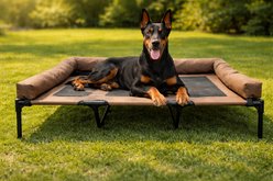 HOMAGICO Breathable Mesh Cooling Orthopedic Elevated Dog Bed with Bolster, Brown, Large