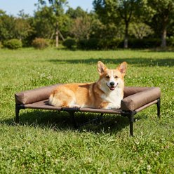 HOMAGICO Breathable Mesh Cooling Orthopedic Elevated Dog Bed with Bolster, Brown, Medium