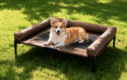 HOMAGICO Breathable Mesh Cooling Orthopedic Elevated Dog Bed with Bolster, Brown, Small