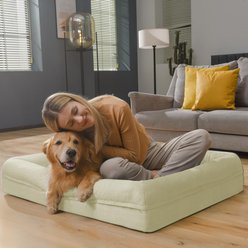 Song Puppy Orthopedic Bolster Dog Bed, Beige, X-Large: 41 x 29 x 7.0-in slide 2 of 7