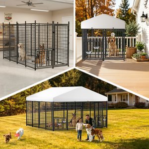 Pawvilion Heavy Duty Galvanized Steel Outdoor Dog Kennel, Black, 10 x 10 x 6.5-ft