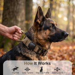 Invenho Tactical Waterproof AirTag Dog Collar, Khaki, Large: 16.5-in neck, 1.5-in wide slide 2 of 5