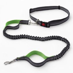 Invenho Hands-Free Bungee with Waist Belt Dog Leash, Grey & Green, 6-ft long