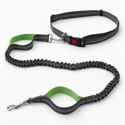 Invenho Invenho Hands-Free Bungee with Waist Belt Dog Leash, Grey & Green, 6-ft long