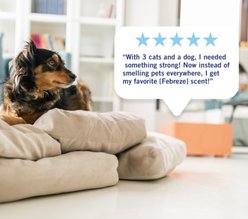 Febreze Bamboo Plug In Pet Air Freshener & Deodorizer Starter Kit for Dog & Cat, 3.5-oz slide 2 of 5