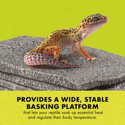 Zilla Herp Hotel Naturalistic Hide Bearded Dragon Basking Platform, Medium slide 2 of 9
