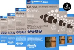Gamma Marine Quintent Blister Pack Fish Food, 100-gram, 6 count slide 2 of 2