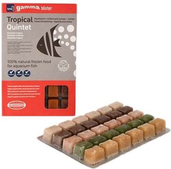 Gamma Tropical Quintet Blister Pack Fish Food, 100-gram, 6 count