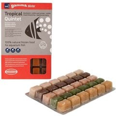 Gamma Tropical Quintet Blister Pack Fish Food, 100-gram, 6 count