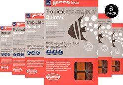 Gamma Tropical Quintet Blister Pack Fish Food, 100-gram, 6 count slide 2 of 2