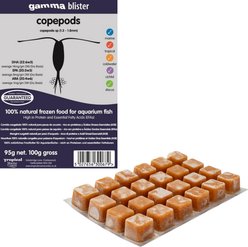 Gamma Copepod Blister Pack Fish Food, 100-gram, 6 count