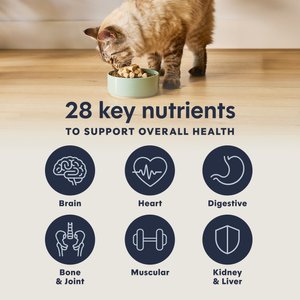 Instinct RawBoost Mixers Grain-Free Multivitamin Adult Recipe Freeze-Dried Cat Food Topper, 5.5-oz bag