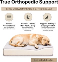 Club Nine Pets Dream Haven Orthopedic Elevated Dog & Cat Sofa Bed with Removable Cover, Rust, Large slide 2 of 9