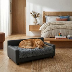Club Nine Pets Dream Haven Orthopedic Elevated Dog & Cat Sofa Bed with Removable Cover, Gray, Large