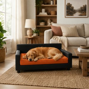Club Nine Pets Dream Haven Orthopedic Elevated Dog & Cat Sofa Bed with Removable Cover, Rust, Large