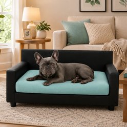 Club Nine Pets Dream Haven Orthopedic Elevated Dog & Cat Sofa Bed with Removable Cover, Aqua, Large