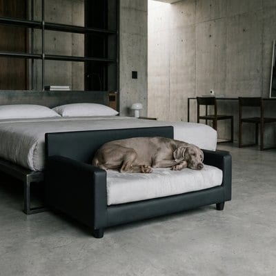 Club Nine Pets Club Nine Pets Dream Haven Orthopedic Elevated Dog & Cat Sofa Bed with Removable Cover, Silver, Large