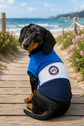 Parisian Pet World Champion Dog Tank, Blue, X-Large slide 2 of 4
