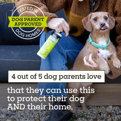 Show full view: Pet Life Unlimited Flea & Tick Rosemary Mint Dog & Home Spray, 10-fl oz bottle slide 6 of 9