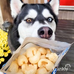 Frankly Beefy Puffs Gluten-Free Beef Cheese Crunchy Dog Treats, 5-oz bag slide 2 of 9