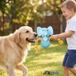Kseroo Elephant Squeaky Exercise Tough Plush Dog Toy, Blue slide 2 of 8