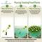 Show in main carousel: HydrOasis Floating Live Pond Plant Bundle slide 6 of 7