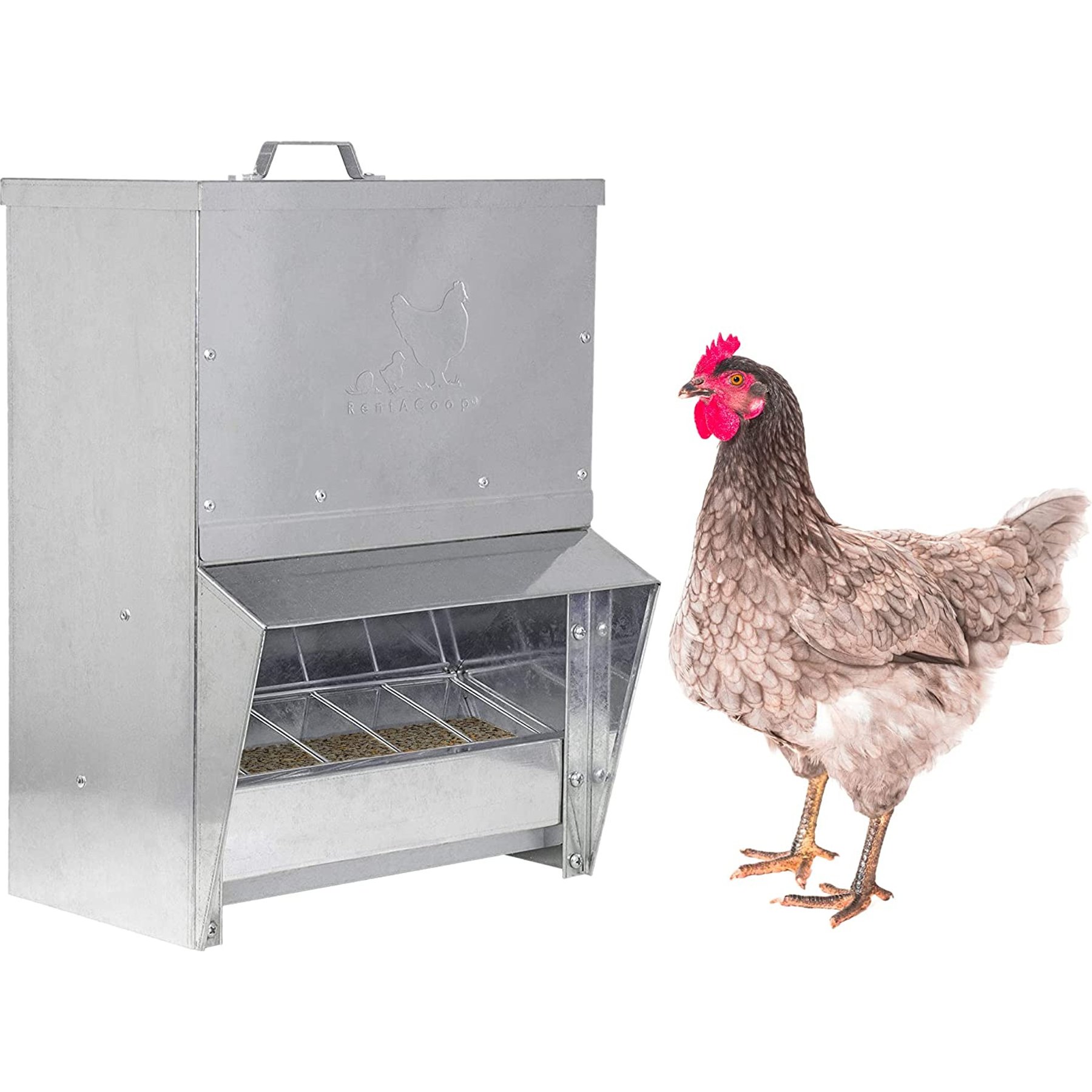 RentACoop Trough Metal Poultry Feeder, 10-lbs