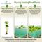 Show in main carousel: HydrOasis Floating Live Pond Plant Bundle slide 7 of 7