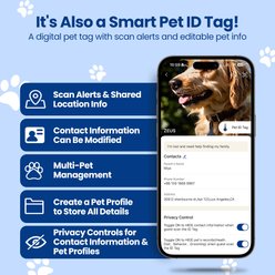 Pawview NFC & QR Code Silent Silicone Personalized Smart Dog ID Tag, Blue slide 2 of 9