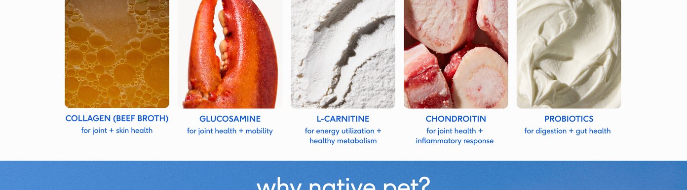 This section continues the ingredient breakdown, showcasing raw bone pieces representing chondroitin for joint health and inflammatory response, followed by a smooth swirl of white cream representing probiotics for digestion and gut health. Below the ingredients, a solid blue section transitions into the brand's core philosophy headline, asking why customers should choose Native Pet