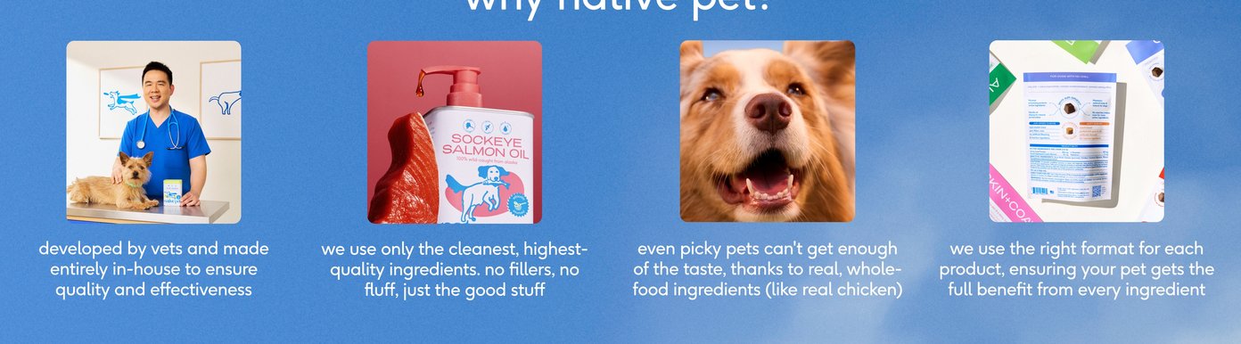 A blue banner outlines Native Pet's unique value propositions across four distinct square images. The graphics feature a male veterinarian standing with a small brown dog, a bottle of sockeye salmon oil next to a fresh fish filet, a close-up of a happy fluffy dog, and the back of a product package detailing its clean format. The accompanying copy explains that products are vet-developed, made with clean, filler-free ingredients, highly palatable even for picky pets, and delivered in the optimal format for effectiveness.