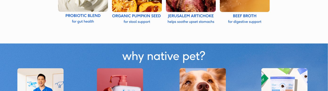 The functional ingredient profile continues with close-up imagery of textured purple Jerusalem artichoke to help soothe upset stomachs and a splash of golden-brown beef broth for savory digestive support. Below the food imagery, a solid blue section transitions into a large headline asking why customers should trust Native Pet.