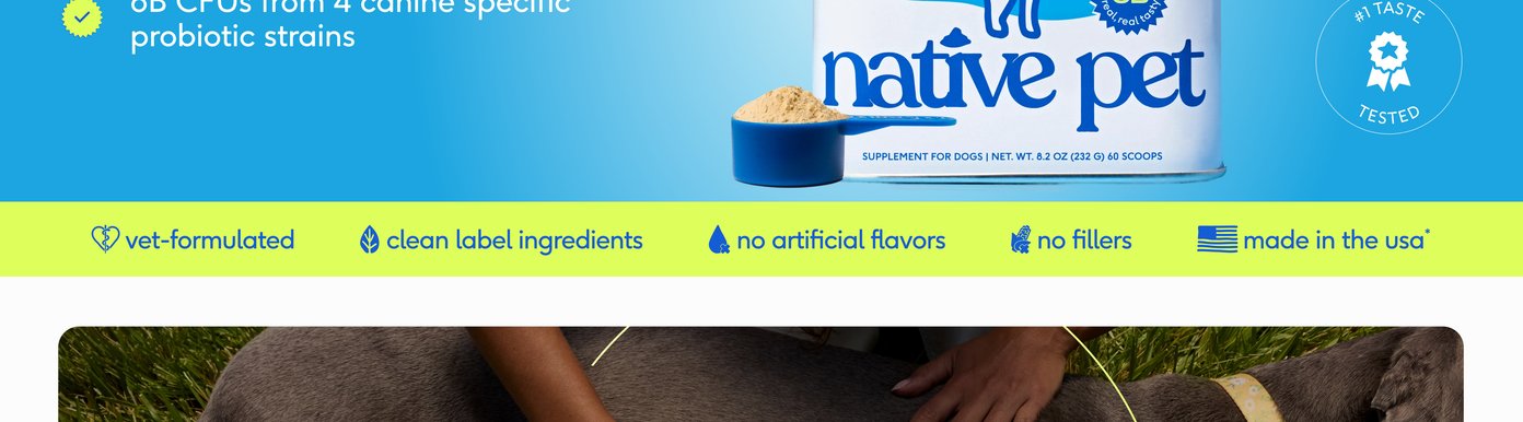 A lime green banner showcases Native Pet's clean label standards for its canine probiotic powder. The core claims emphasize that the supplement is vet-formulated, contains clean label ingredients, features no artificial flavors, contains no fillers, and is proudly made in the USA. A blue scoop filled with the tan powder supplement rests in front of the packaging.