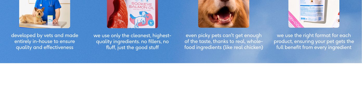 A solid blue banner details Native Pet's brand philosophy across four square promotional tiles. The graphics show a male veterinarian in blue scrubs, a bottle of sockeye salmon oil next to a fish filet, a close-up of a happy fluffy dog, and the back of a product information label. The copy explains that their supplements are developed entirely in-house by vets, contain only clean ingredients with no fillers, are highly palatable to picky pets, and utilize the ideal format for maximum effectiveness.