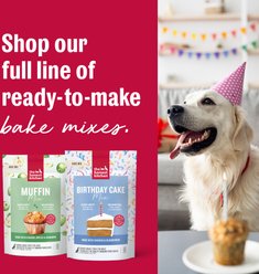 The Honest Kitchen Human-Grade Chicken, Apple & Cinnamon Muffin Mix for Dogs, 7.5-oz bag slide 2 of 7