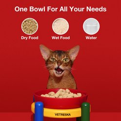 VETRESKA Chroma Dishwasher Safe Ceramic Dog Bowl Set, Red/Yellow/Blue/Green, Small: 20-oz slide 2 of 8