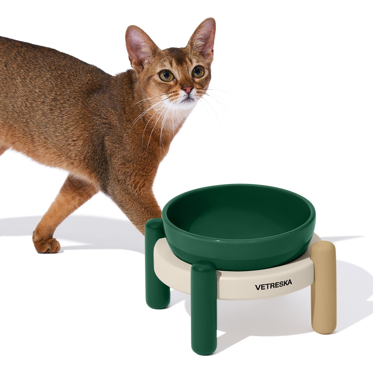 VETRESKA Santal Forest Dishwasher Safe Ceramic Dog Bowl Set, Green/White/Gold, Small: 20-oz