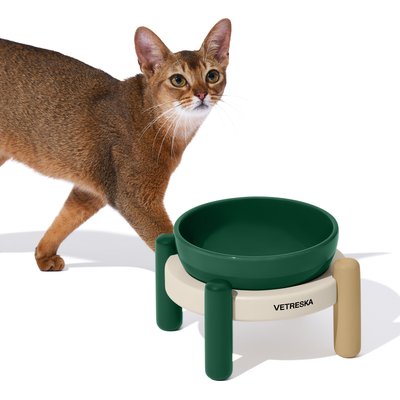 VETRESKA VETRESKA Santal Forest Dishwasher Safe Ceramic Dog Bowl Set, Green/White/Gold, Small: 20-oz
