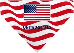 Buckle-Down Global Soccer Cup Series Spirit Flag Slip On Collar Dog Bandana, 50-in chest, United States slide 1 of 6