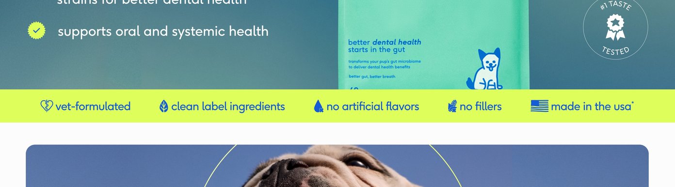 A vibrant neon green banner promotes high product standards, stating that the formula is vet-formulated with clean label ingredients, no artificial flavors, no fillers, and is made in the USA. Below the banner, a close-up graphic of a happy, panting bulldog highlights the supplement's multi-functional benefits. Circular callouts emphasize that the product supports the oral and gut microbiomes, supports fresh breath, and promotes healthy teeth and gums.