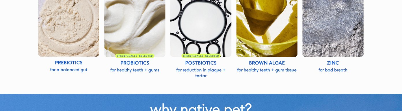 The remaining core brand values from the "why native pet?" section are displayed across two square tiles against a blue backdrop. The left tile features a close-up, happy face of an Australian Shepherd dog, accompanying text that reads "even picky pets can't get enough of the taste, thanks to real, whole-food ingredients (like real chicken)." The right tile shows the back packaging of a Native Pet product, explaining that the brand selects the right format for each product to ensure pets receive the full benefit of every ingredient.