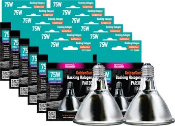 Arcadia Reptile GoldenSun Reptile Halogen Heat Lamp Bulk Pack, 75-watt, 12 count