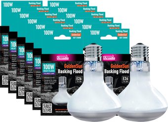 Arcadia Reptile GoldenSun Reptile Basking Flood Light Bulk Pack, 100-watt, 12 count